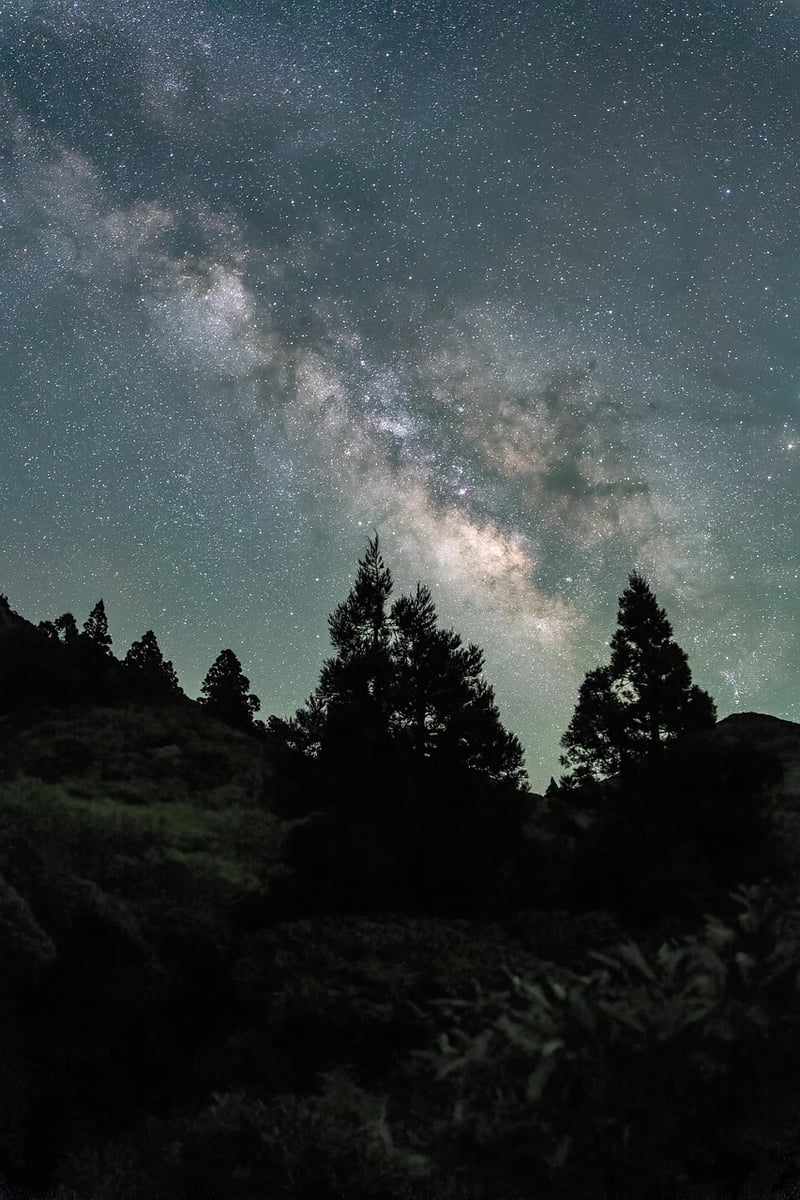 Traveler under the Milky Way